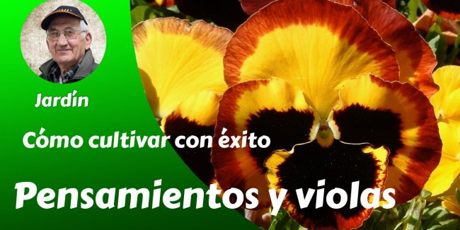 Portada2